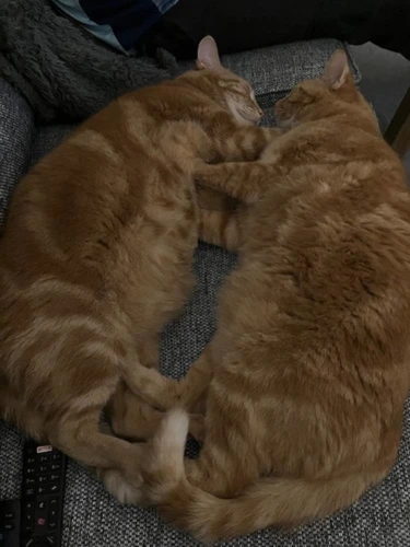 Nacho and Hunter