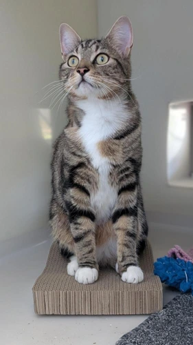 Long Boi Lenny