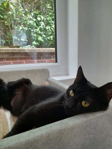 Luna