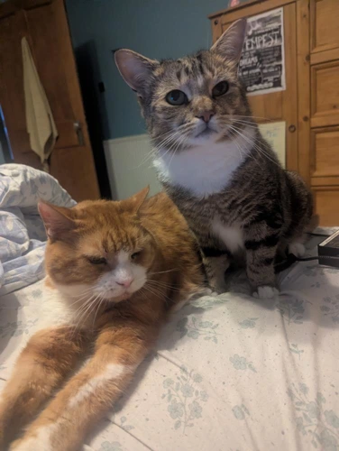 Dexter and Frank