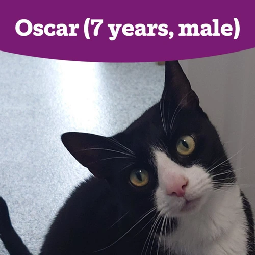 Oscar