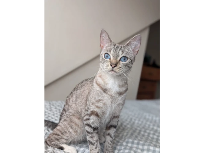 Lumi