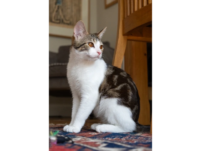 Beau