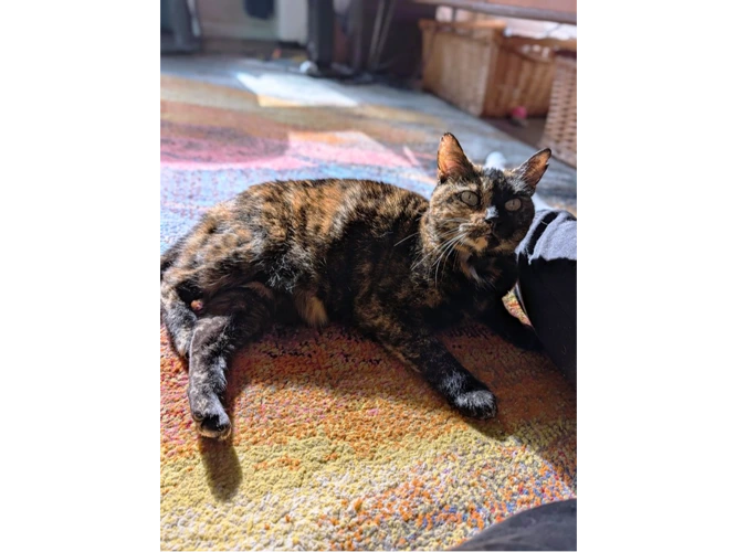 Coco