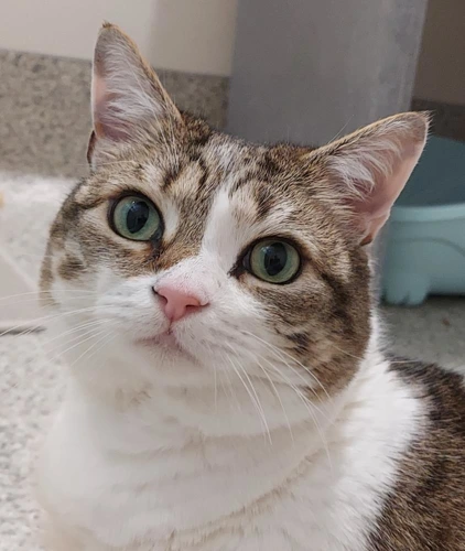 .Doris 7y female