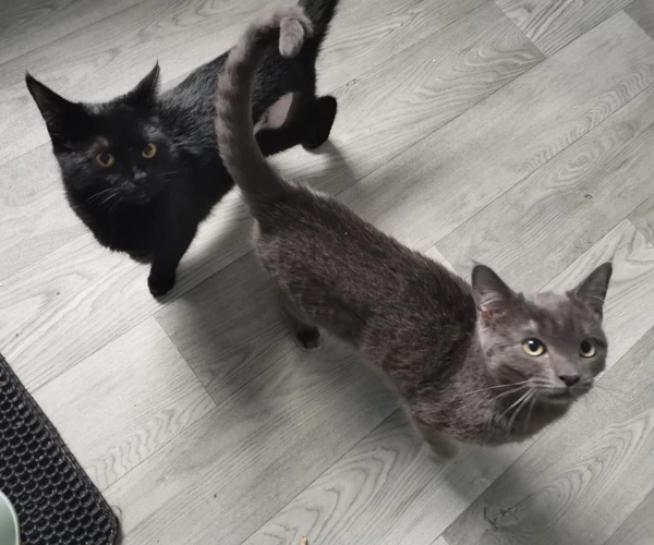Batty & Mina