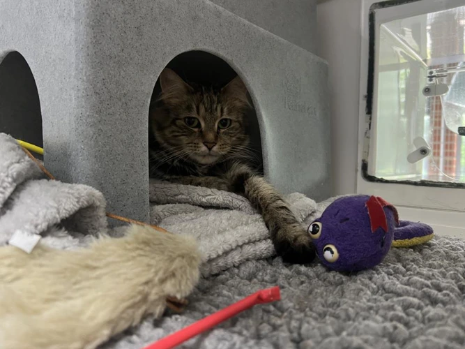 Nala