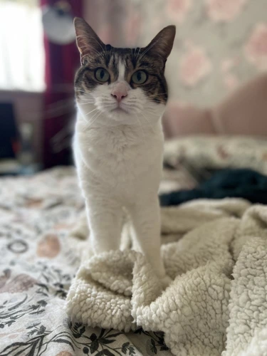 Wilma