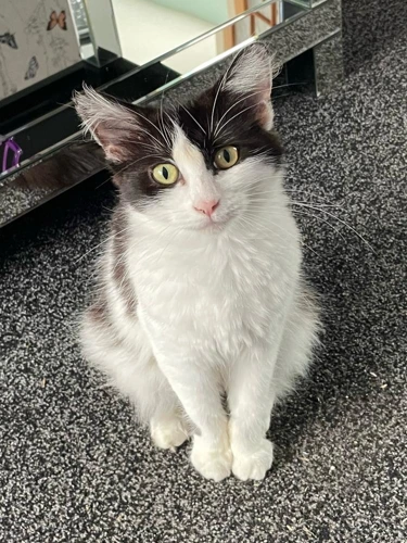Ruby