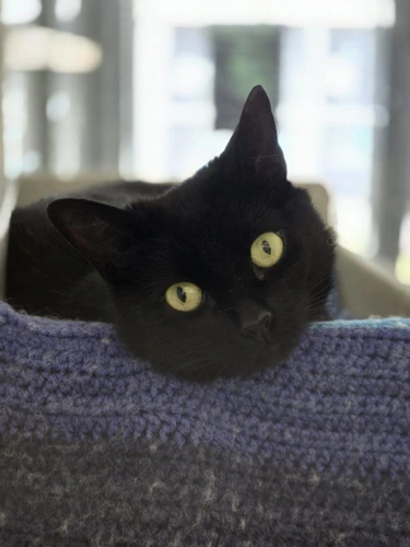 Rosie