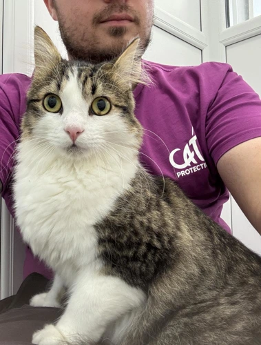 Milo