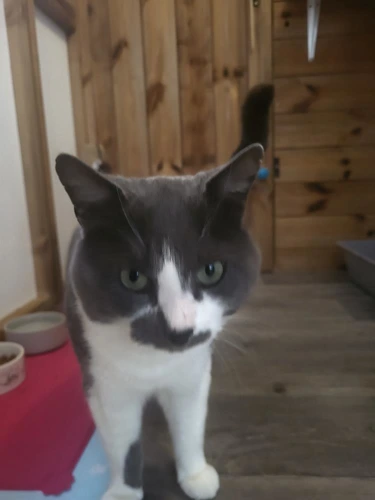 Oliver