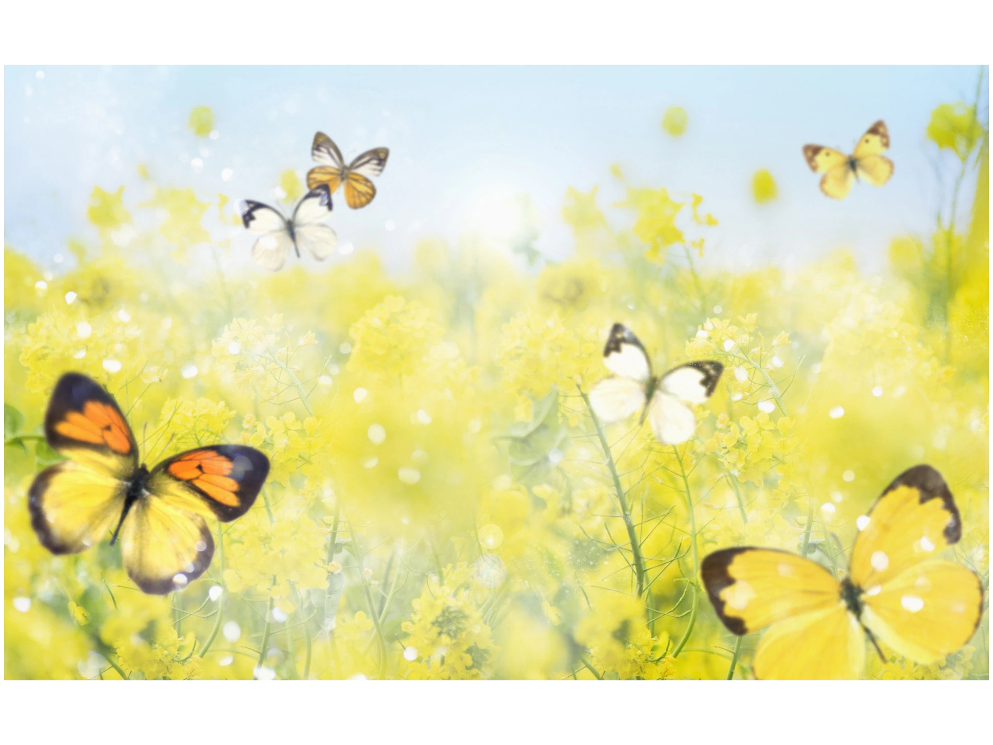 Spring Fayre on Saturday 11th April 2026 at New Inn Community Hall, New Road, New Inn, Pontypool NP4 0PZ. starting at 1.30pm