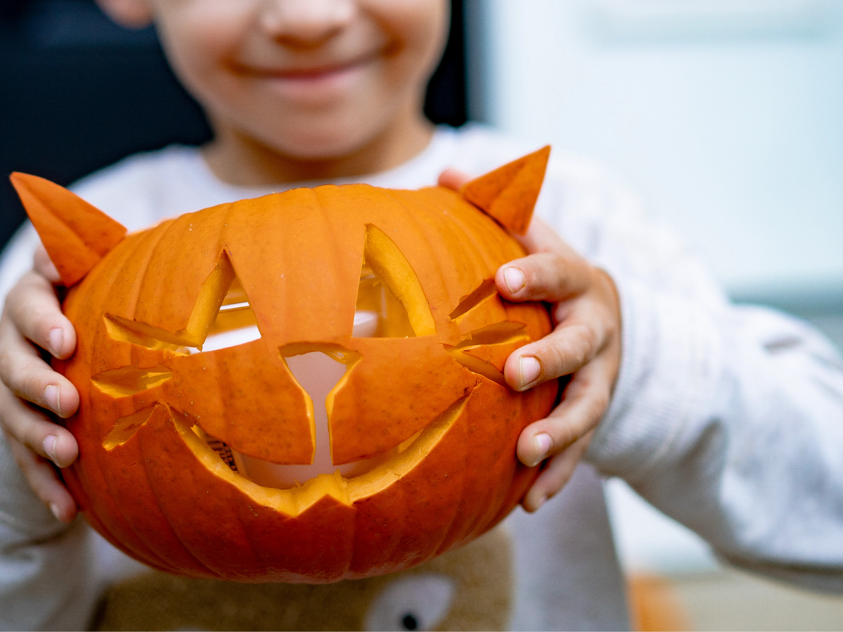 Halloween fun at Cats Protection 🦇🎃👻