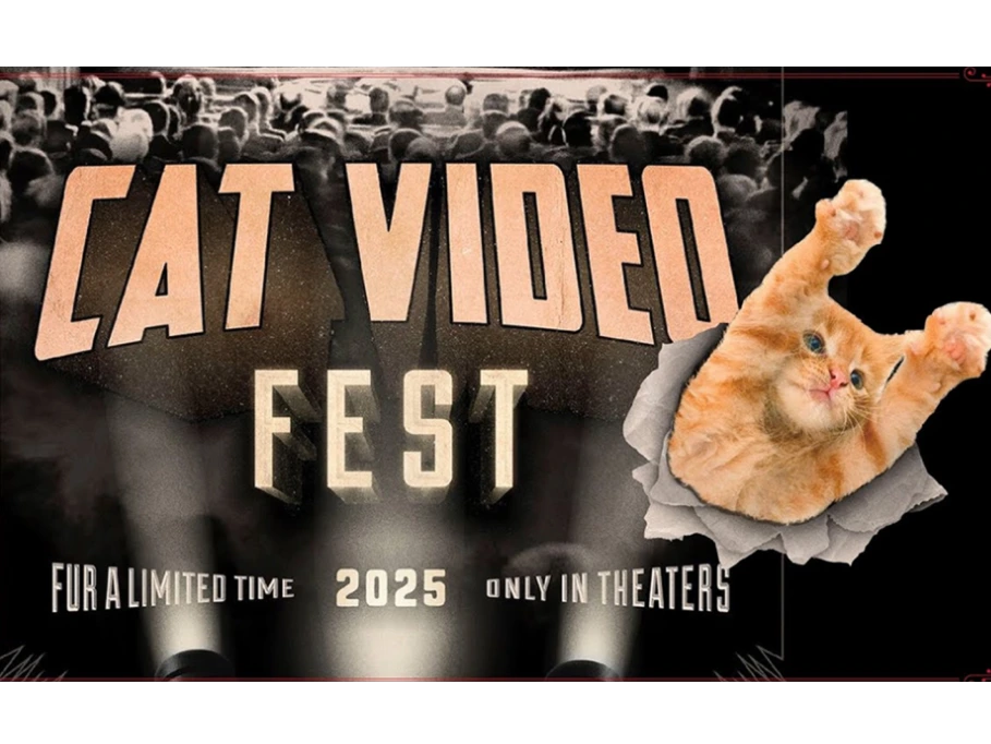 Cat Video Fest 25
