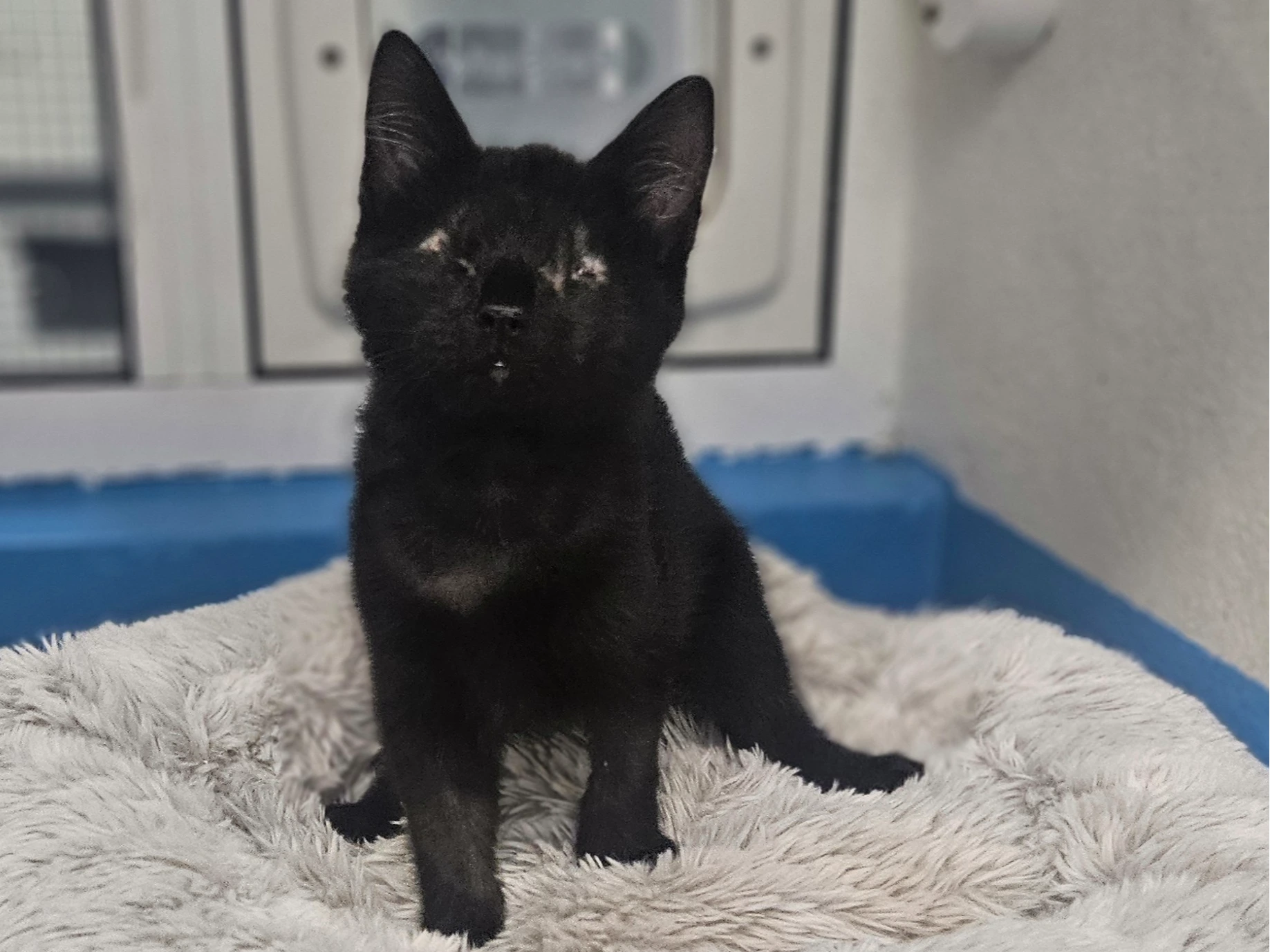 Winter Free Prize Draw