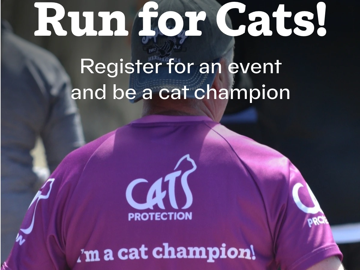 Antrim half marathon