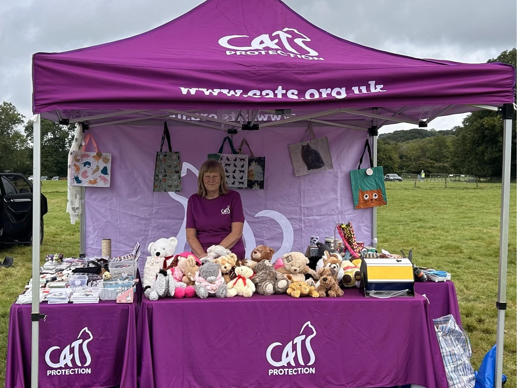 Stall at Wales Adoption Centre, Bryncethin, Bridgend CF32 9UJ