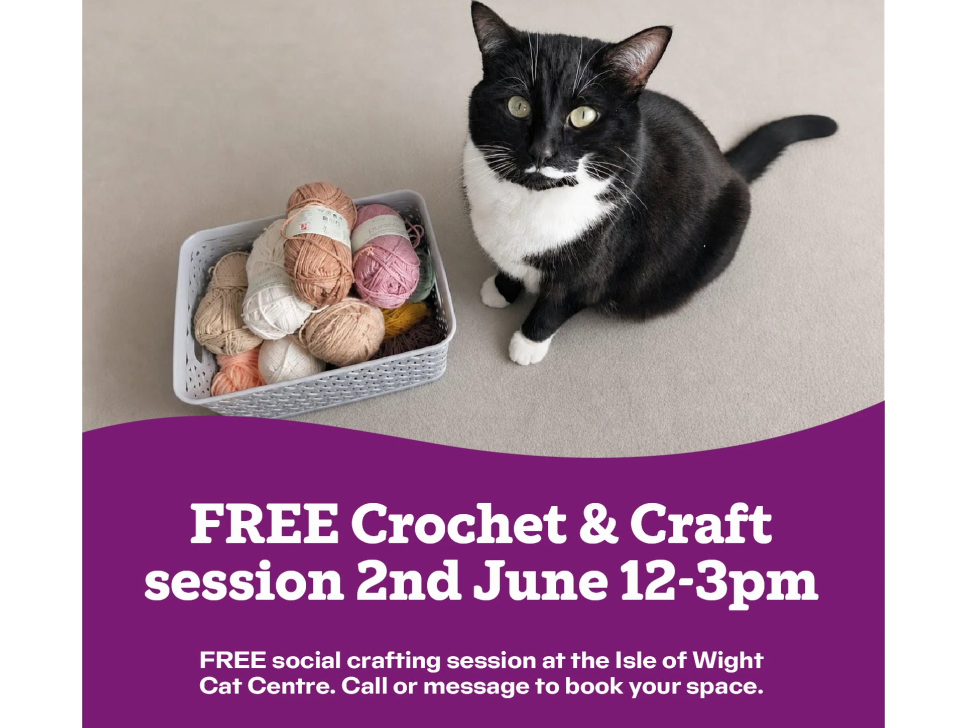 Cat Crochet and Craft FREE SESSION