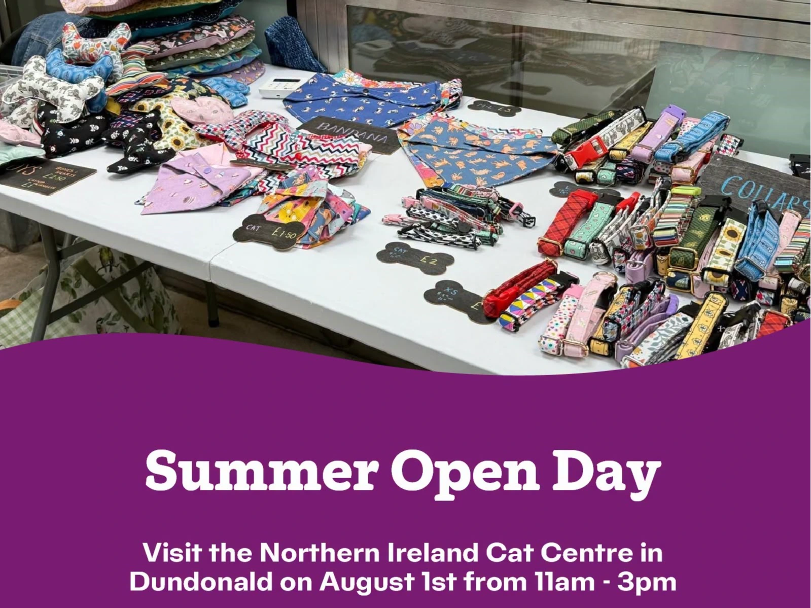 Northern Ireland Cat Centre open day