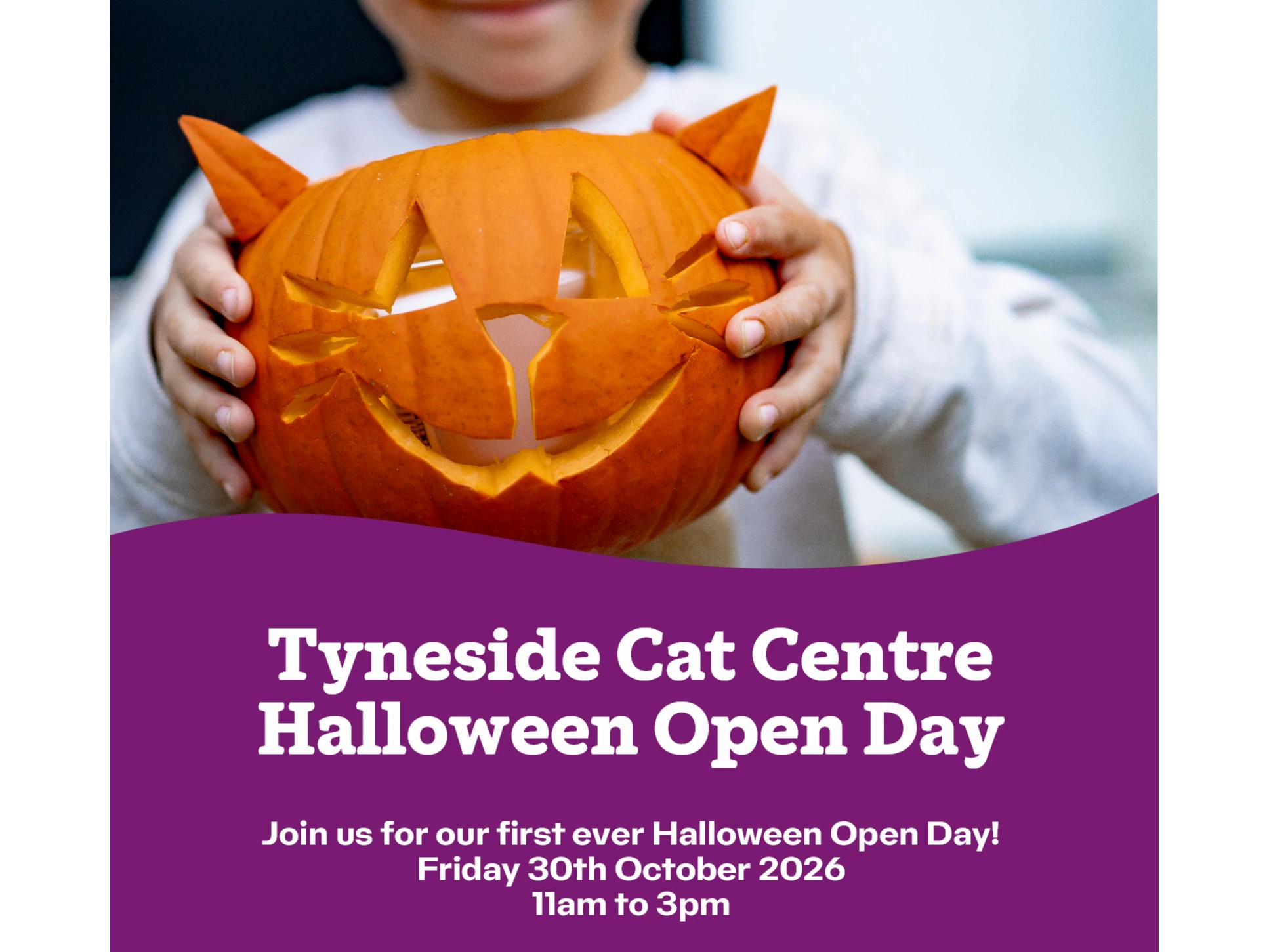 Tyneside Cat Centre Halloween Open Day