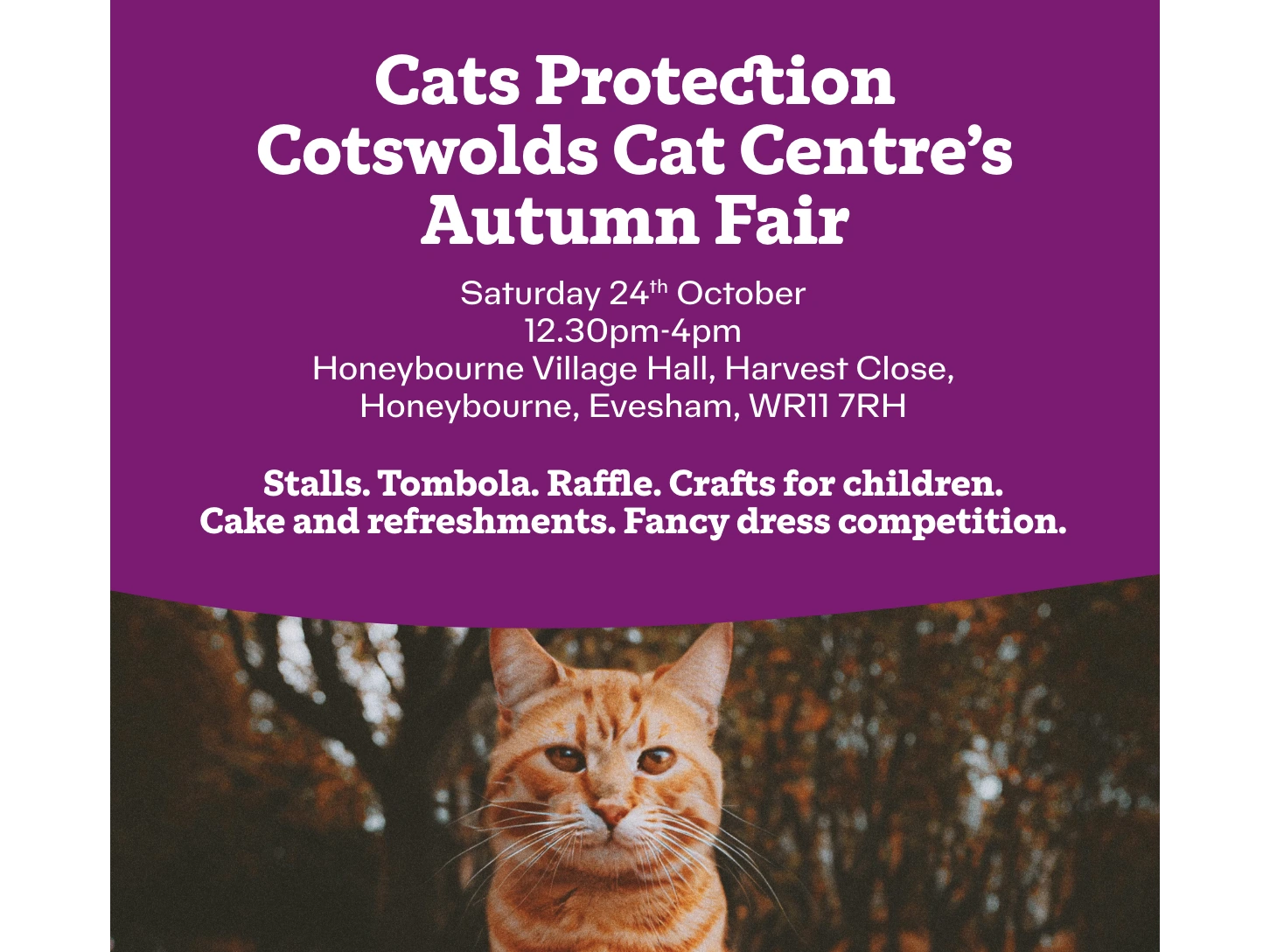 Cotswolds Cat Centre's Autumn Fair