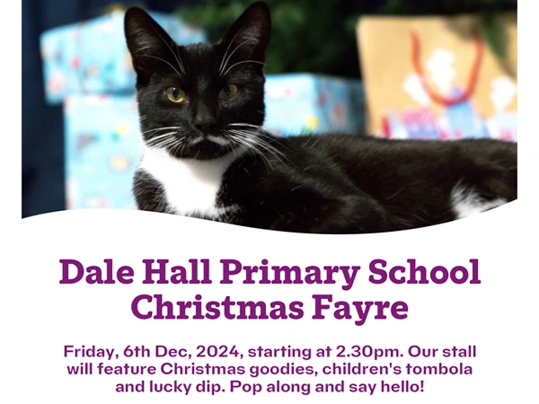 Dale Hall Primary School Christmas Fayre