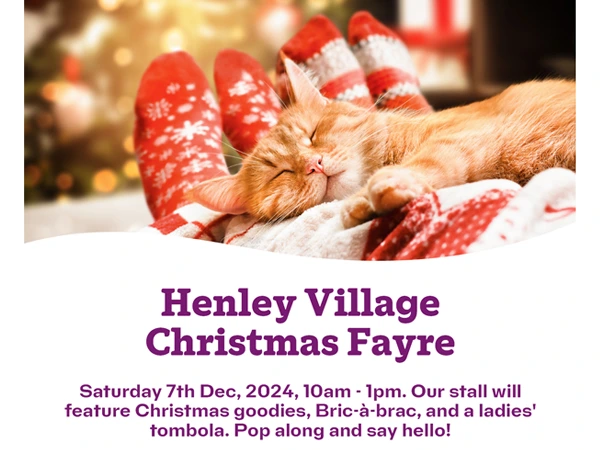 Henley Christmas Village Fayre