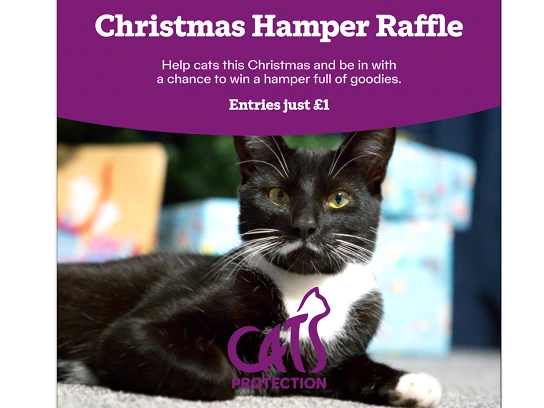 Did you know we are running a Christmas Hamper Raffle?