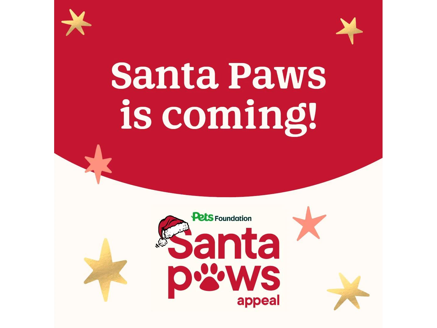 Santa Paws is coming!