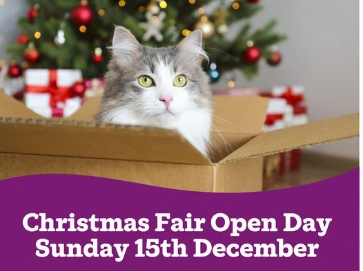 Surrey Cat Centre Christmas Fair 15th Dec 11:00 to 15:00