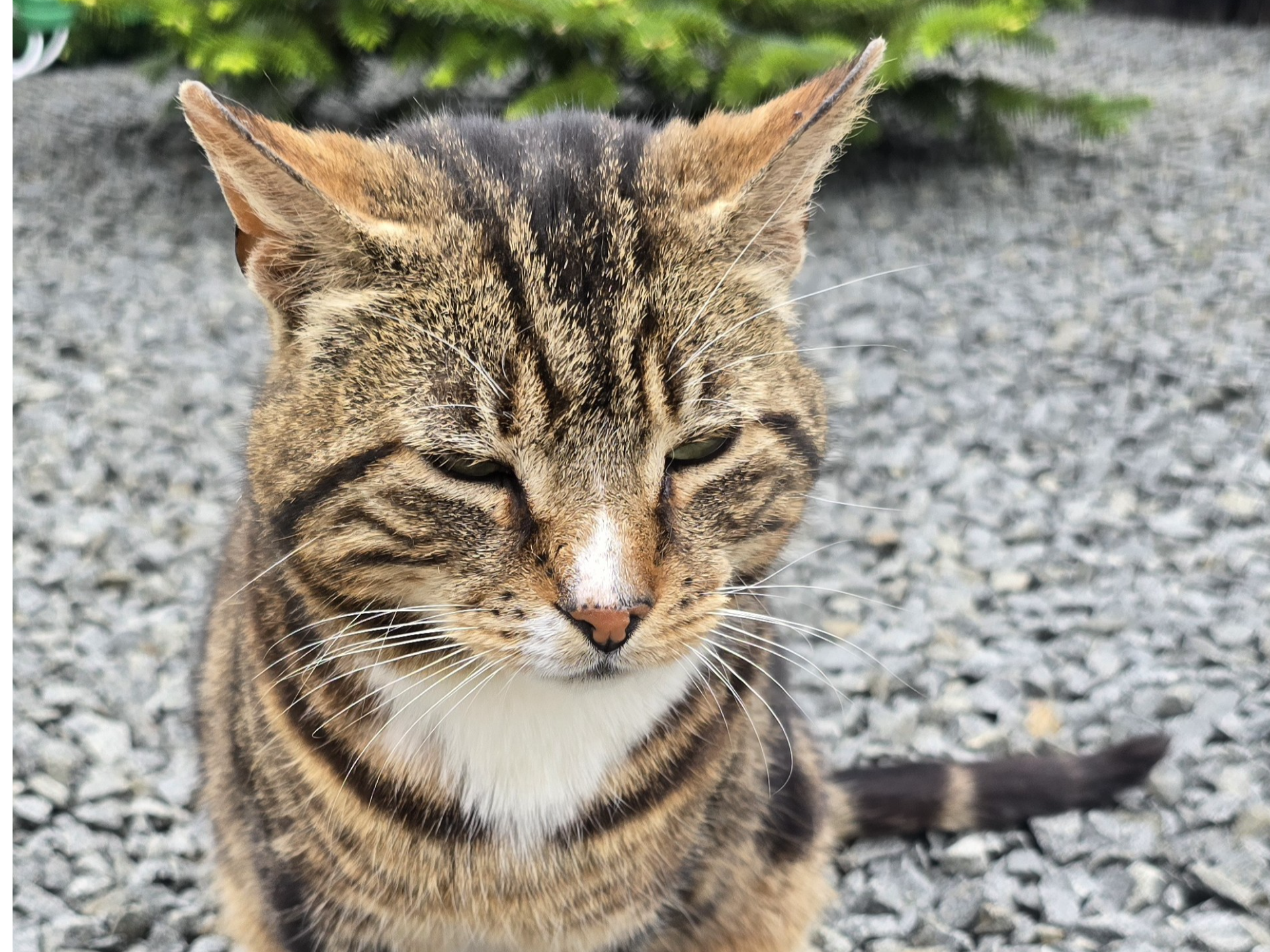 744666 - Found in Clenchwarton