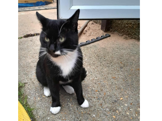 Found 2025.047 - Lyndhurst Road, off Carnarvon Road, Gosport