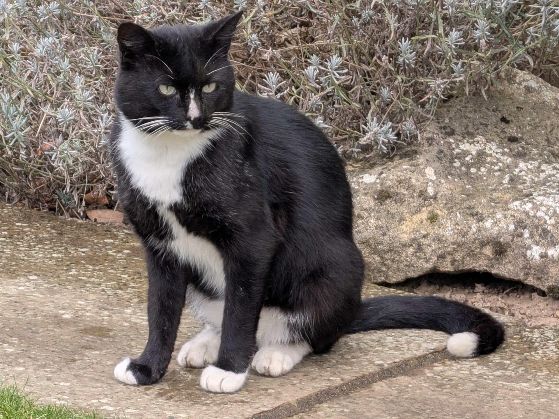 764600 -Found in Gorefield PE13 4Q area