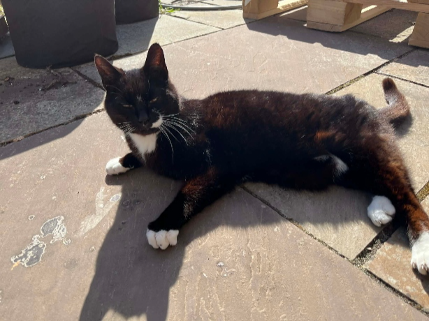 Found 2026.034 - Dover Close, off Fury Way / Plymouth Drive, Stubbington