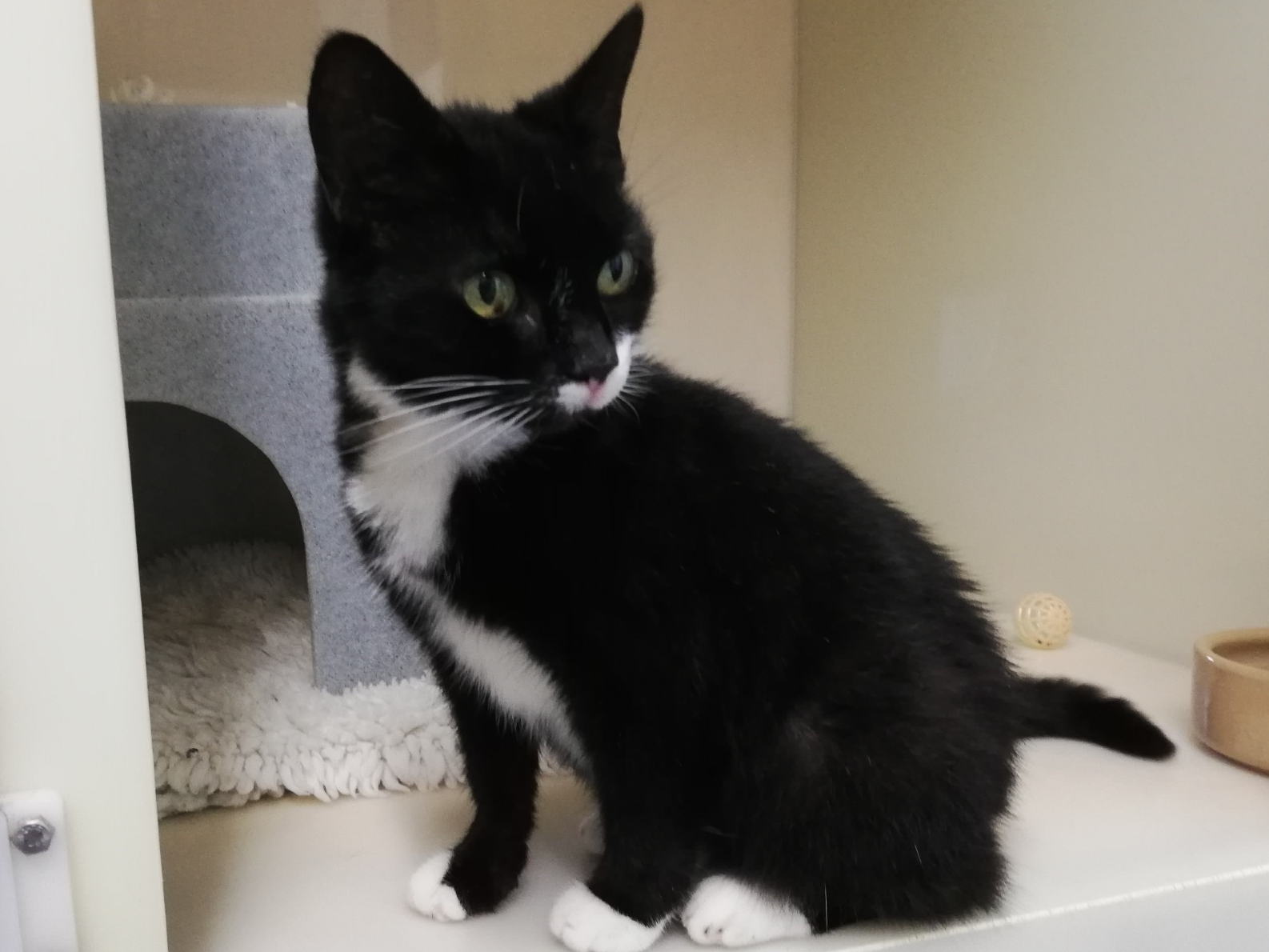 793037 - Found in Walton Road, Wisbech