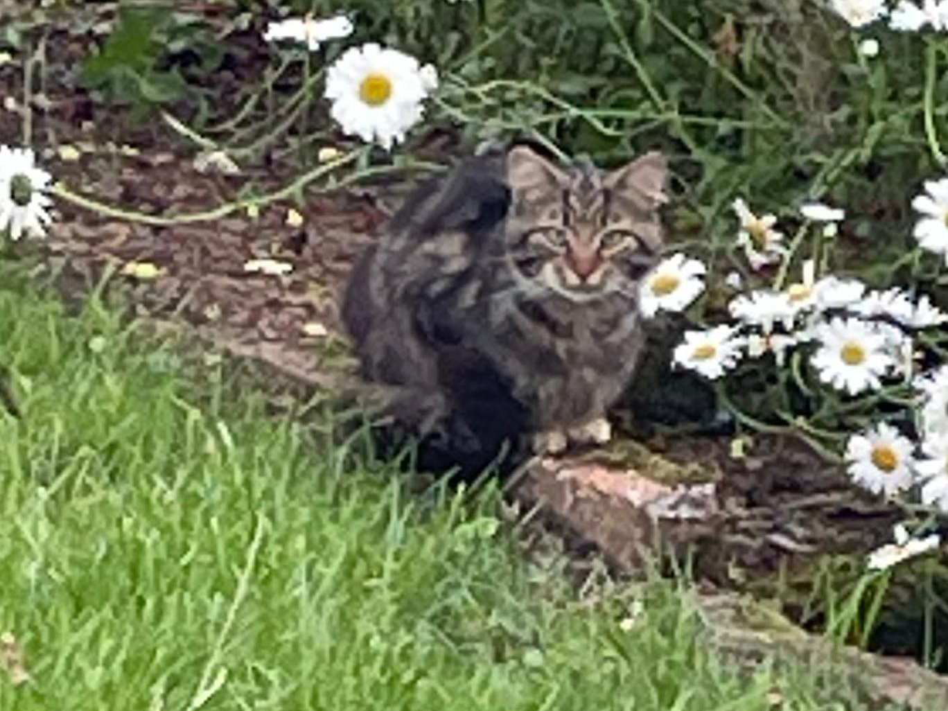 694841 - Found in Stoke Ferry