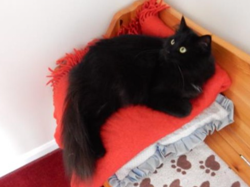 Catrina, Godmanchester