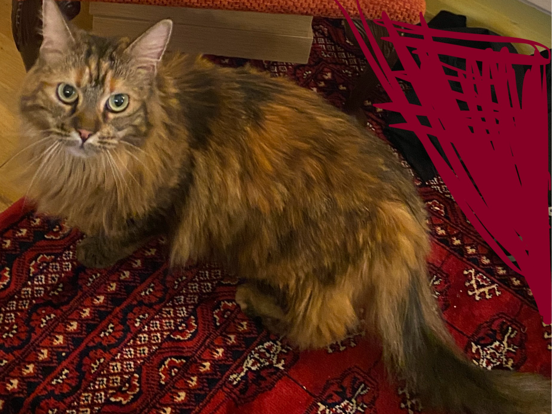 Chardonnay, Beche Rd