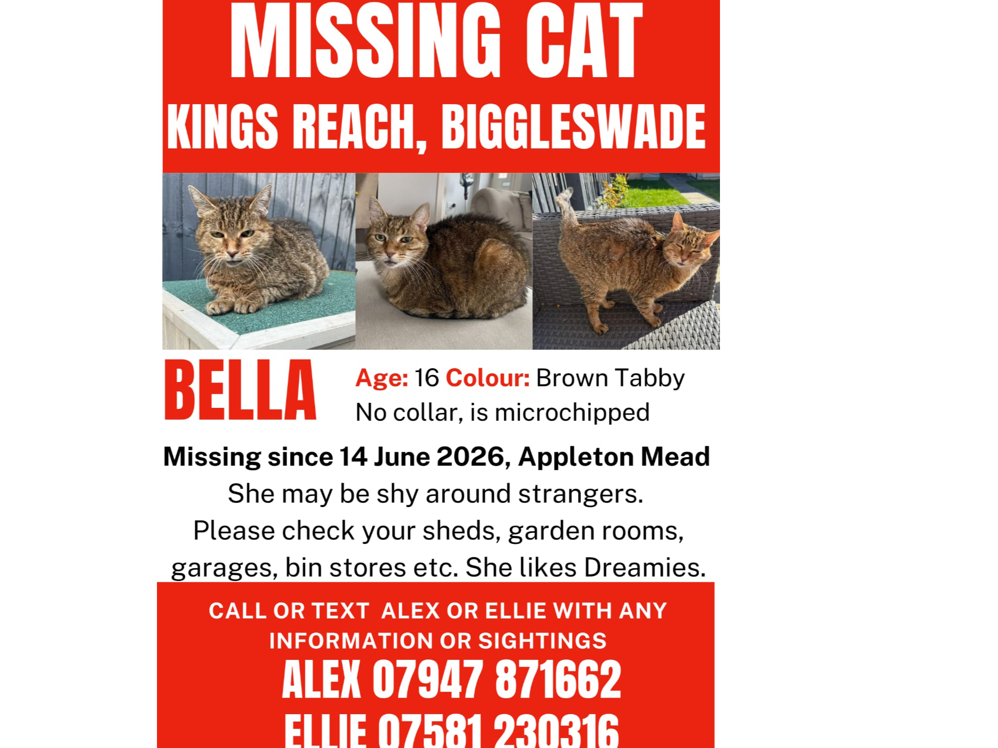 LOST 26-032 Bella
