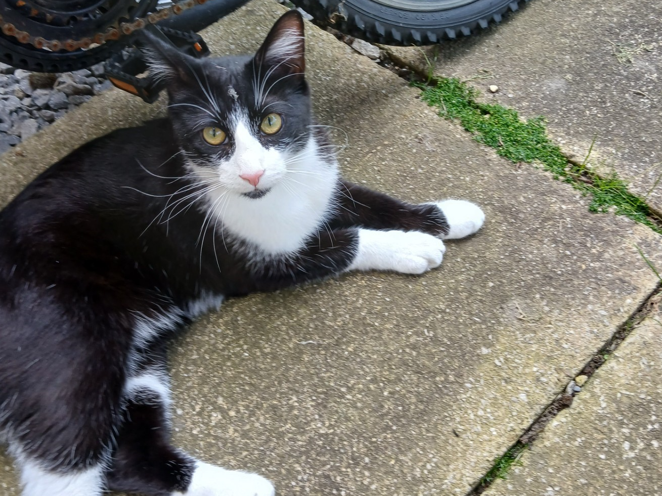 766147 - Missing in Manea