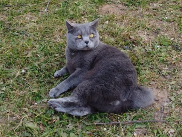 Winston, Abington