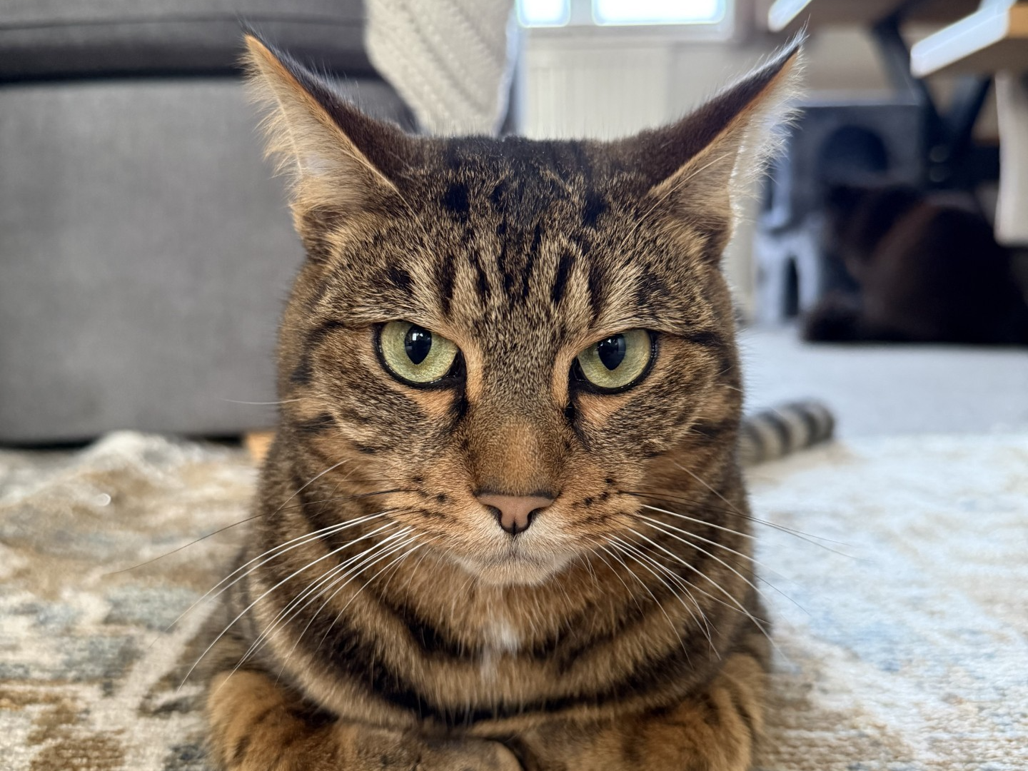 806709 - Missing in Marham