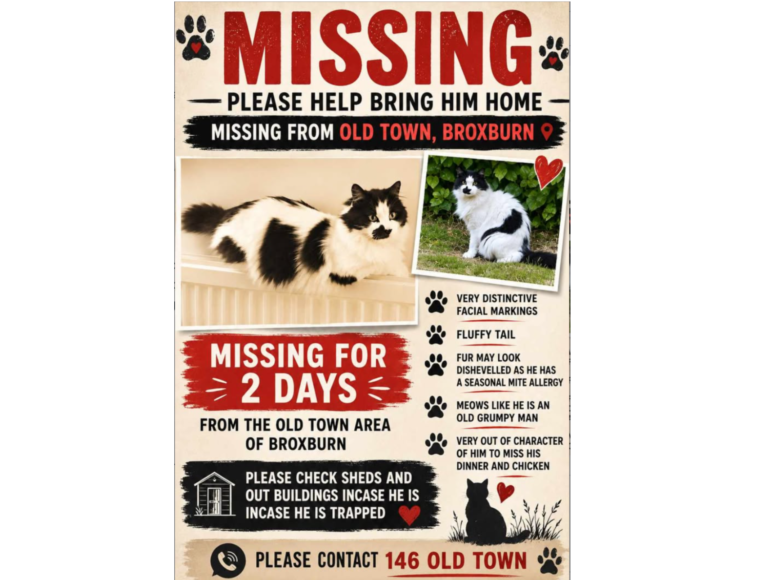 Missing cat Broxburn
